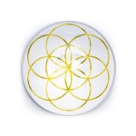 Magnes Nasiono Życia