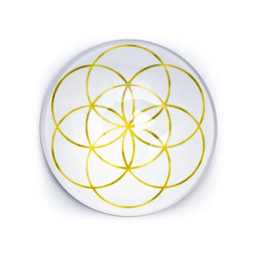 Magnes Nasiono Życia