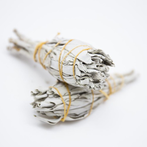 Biała szałwia - oczyszczanie energetyczne, dobra energia