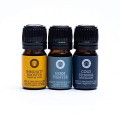 Zestaw olejków eterycznych do aromaterapii - Wellness (Song of India) 01