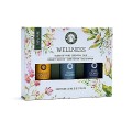 Zestaw olejków eterycznych do aromaterapii - Wellness (Song of India)
