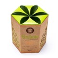 organic-goodness-świeca-sojowa-patchouli-vanilla-song-of-india.jpg