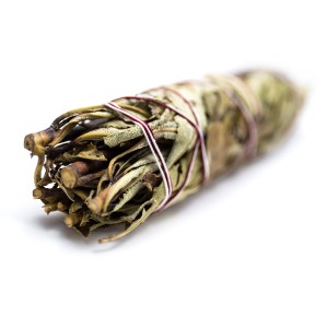 Yerba Santa
