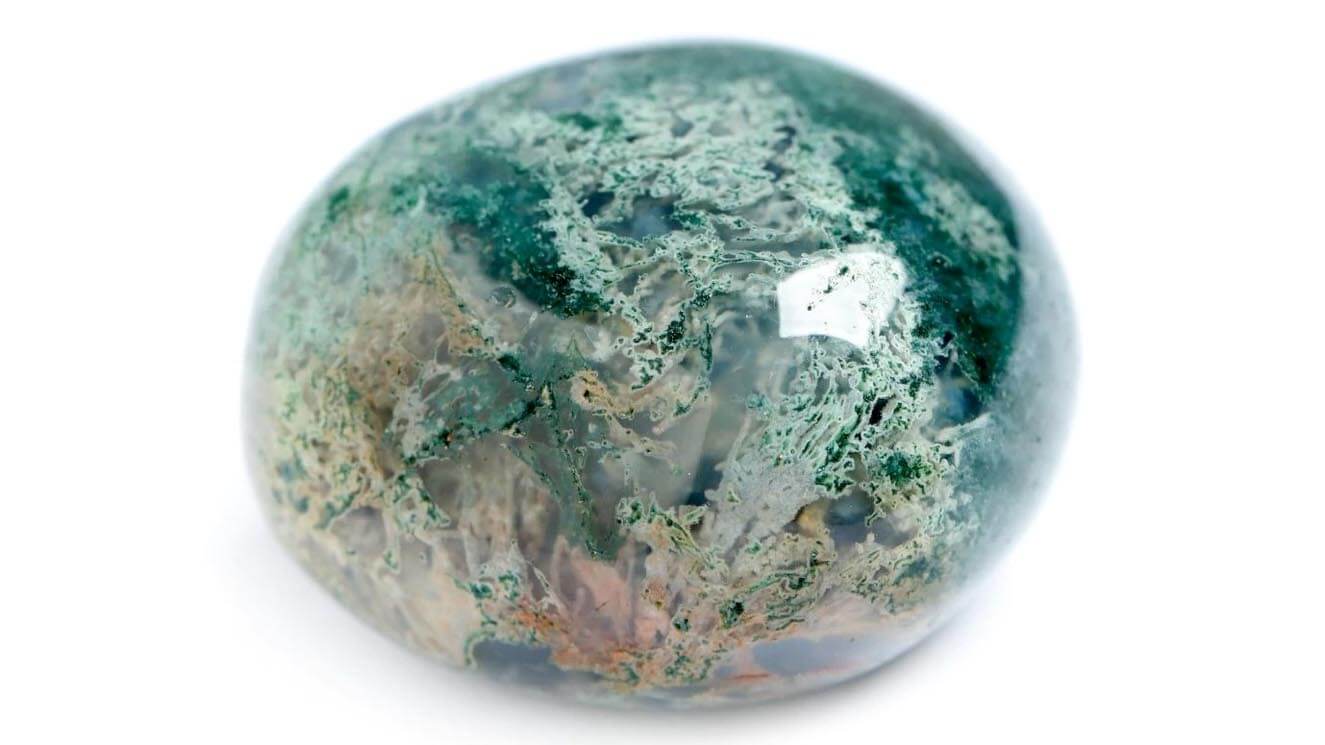 Agat mszysty – leśna harmonia i stabilizacja